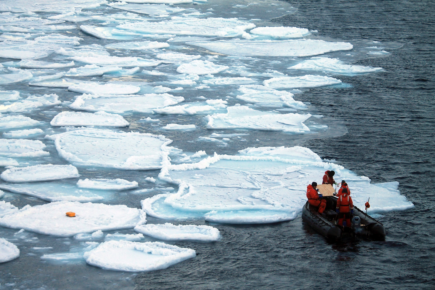 Pancake ice in the Antarctic. Photo credit: Madison Smith
